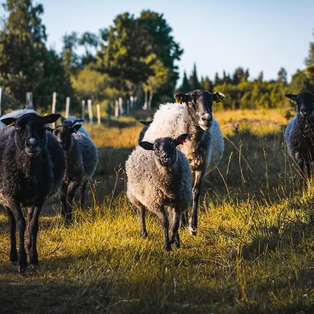 Muhusi Rooftop Getaway * Igakula