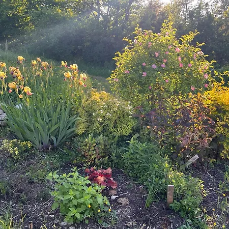 Apartment Muhusi Rooftop Getaway