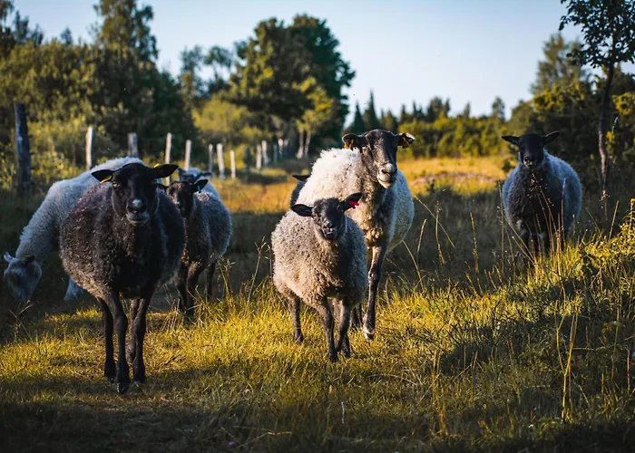 Muhusi Rooftop Getaway * Igakula