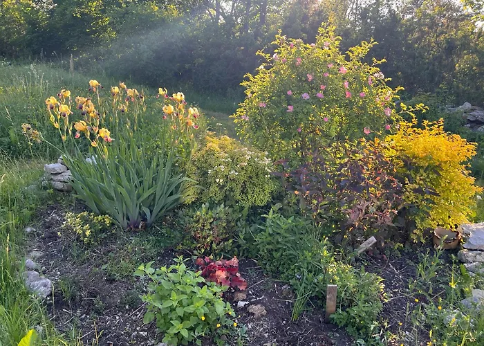 Apartment Muhusi Rooftop Getaway
